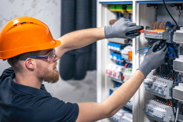 Best Local Electrician Companies  in Mount Olive, AL